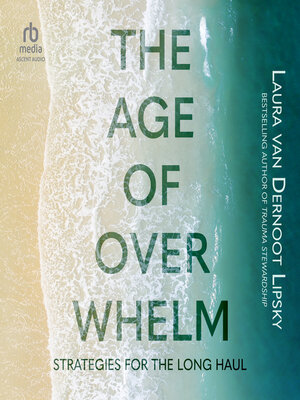 The Age of Overwhelm - Audiobook